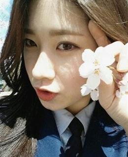 可爱四叶草的头像