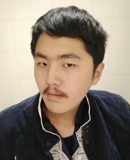 风格化大黄蜂的头像