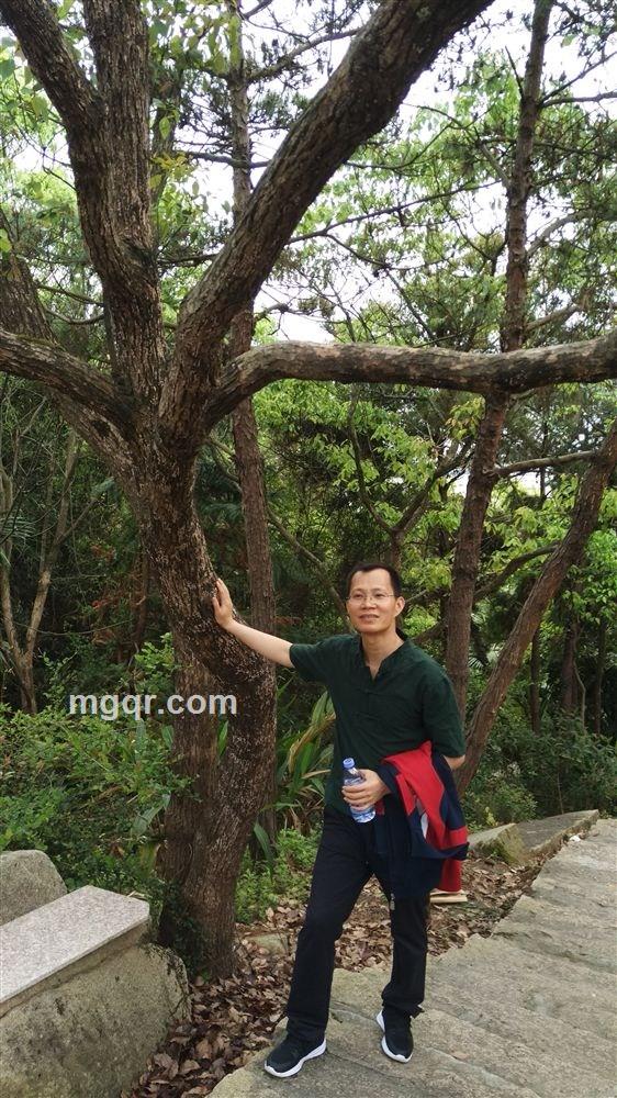 相识是缘份的头像