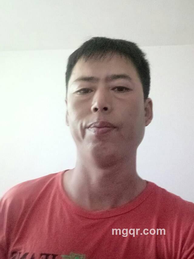 浪子的头像