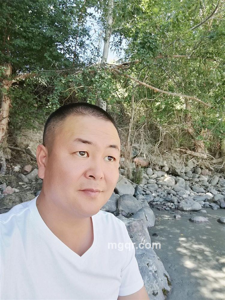 贲贲的头像