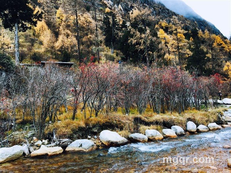 余生是你的头像