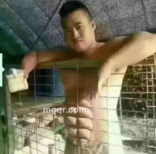 会员4612746的头像