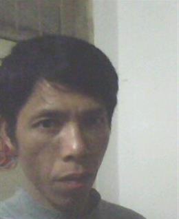 西风木叶的头像