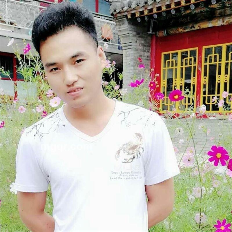 行尸走肉的头像