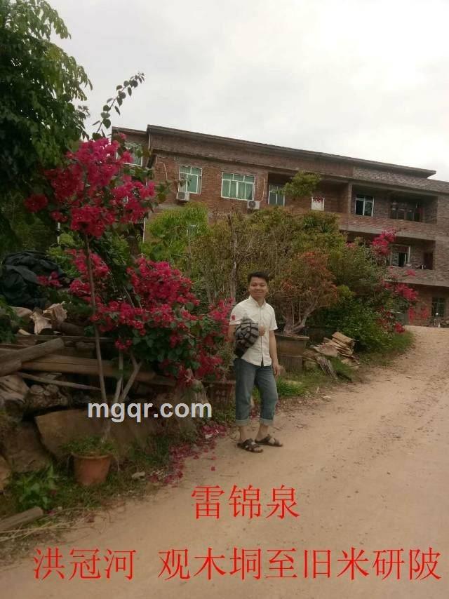 雷择善的小店的头像