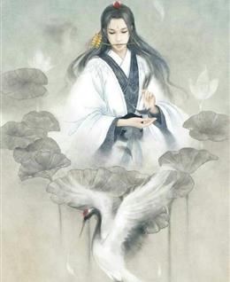 随意的风YYL的头像