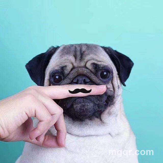 适可而止的头像