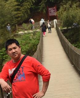 阳光依然明媚的头像