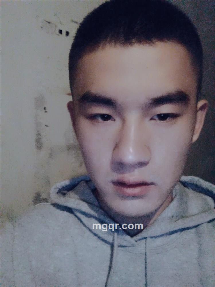 鲸鱼的头像