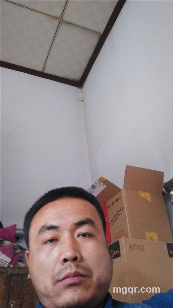 小何2的头像