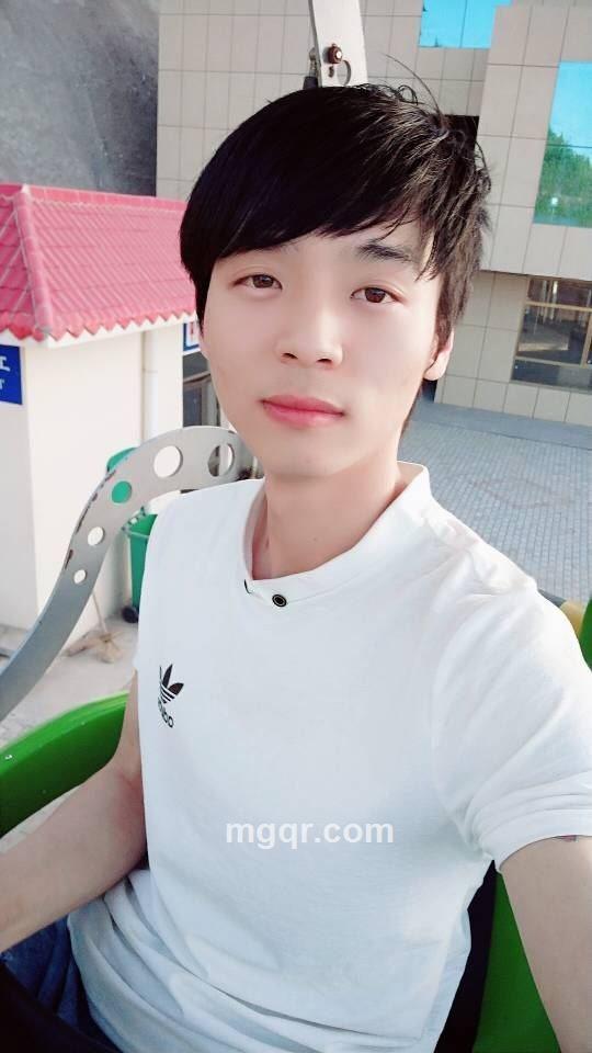 青鸟飞过碧海蓝天的头像