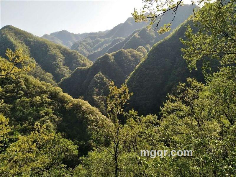 知情王子的头像