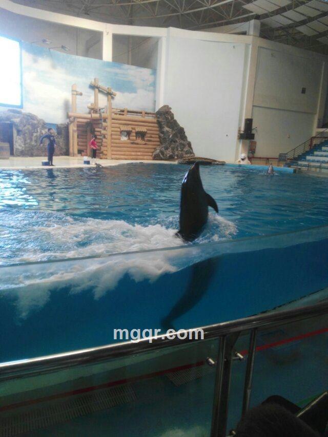 来日方长的头像