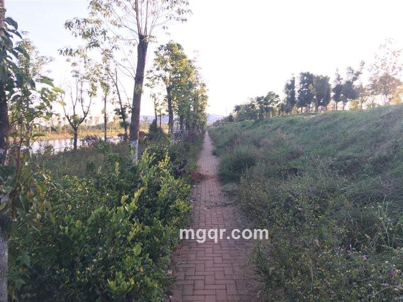 ~??月·之吻??的头像