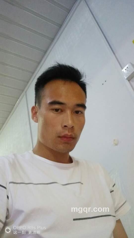 新西兰牧童的头像