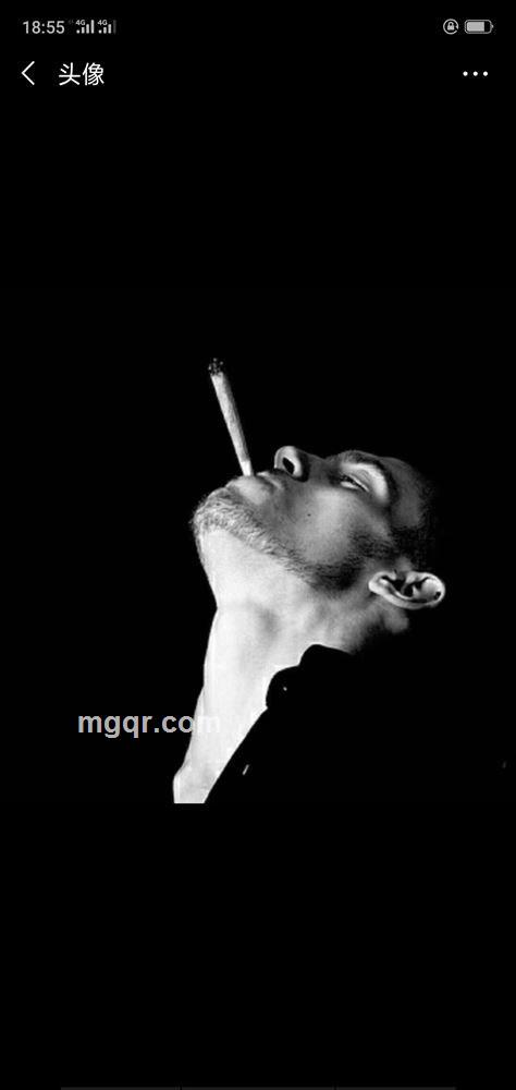 m3酒吧阿飞的头像