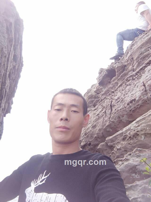 落叶知秋的头像