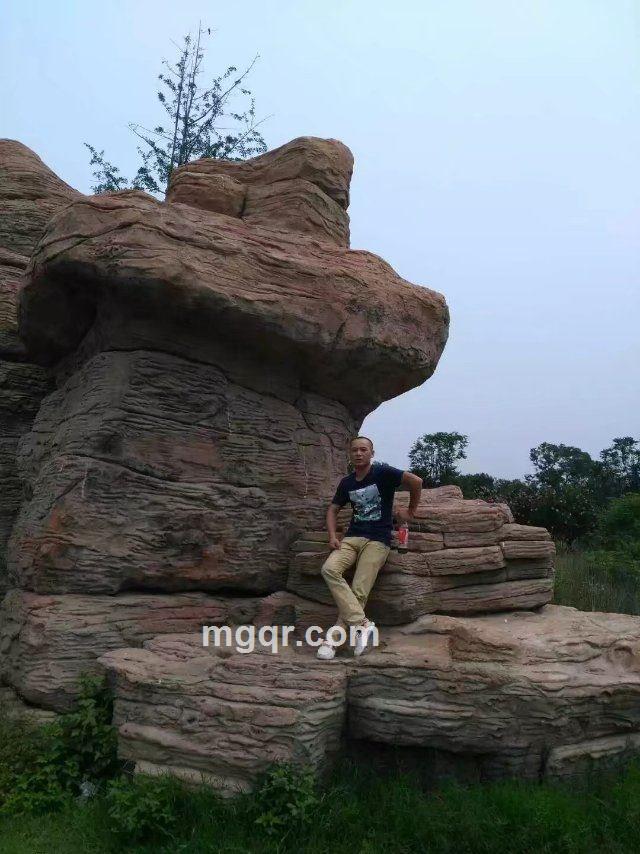 从头再来的头像