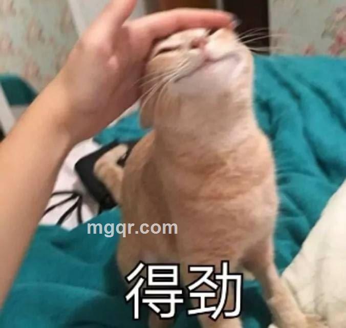 A.小猪佩奇的头像