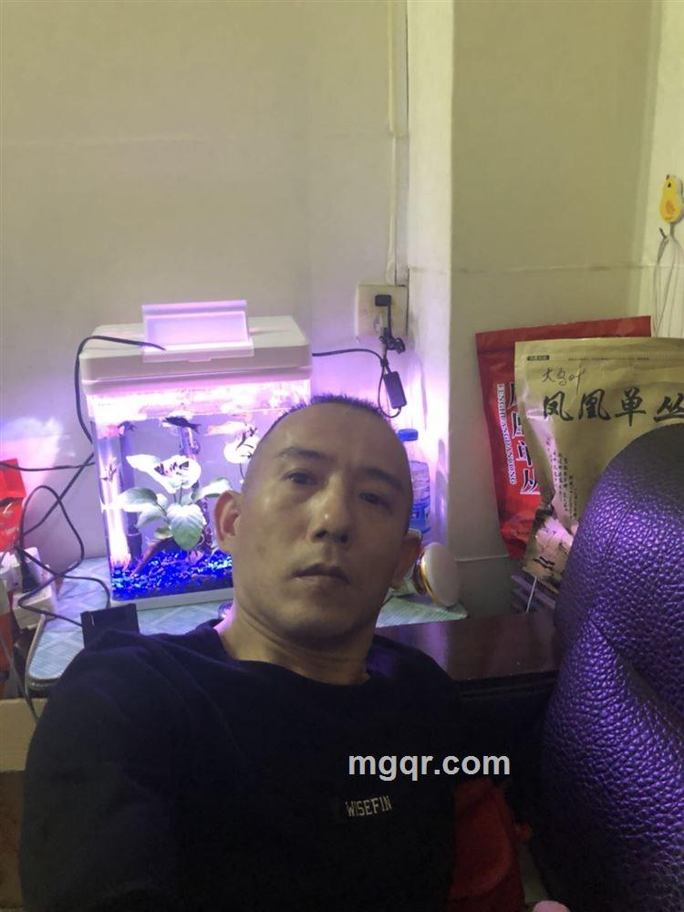 胜哥13671424225的头像