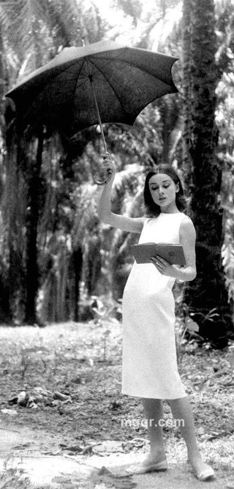 歌本达斯的头像