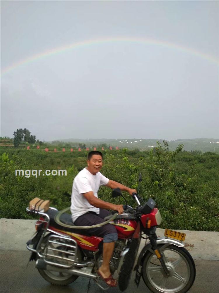 一切随缘的头像