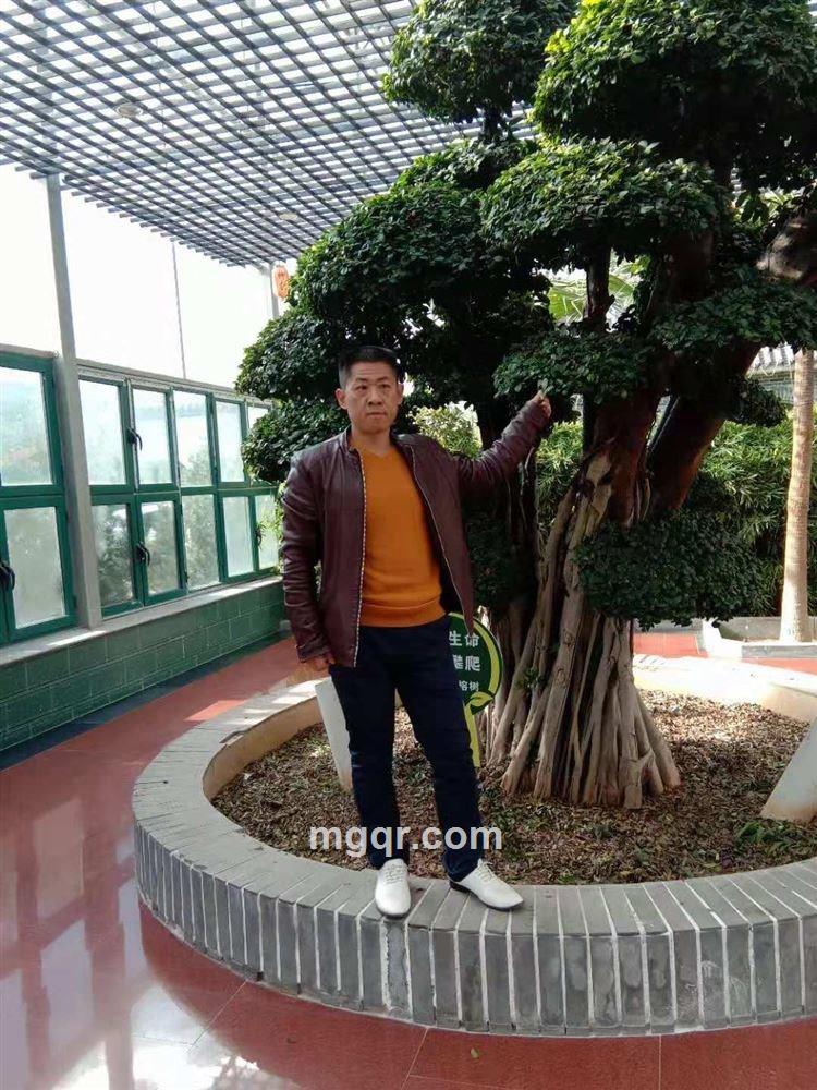 唯我独尊的头像