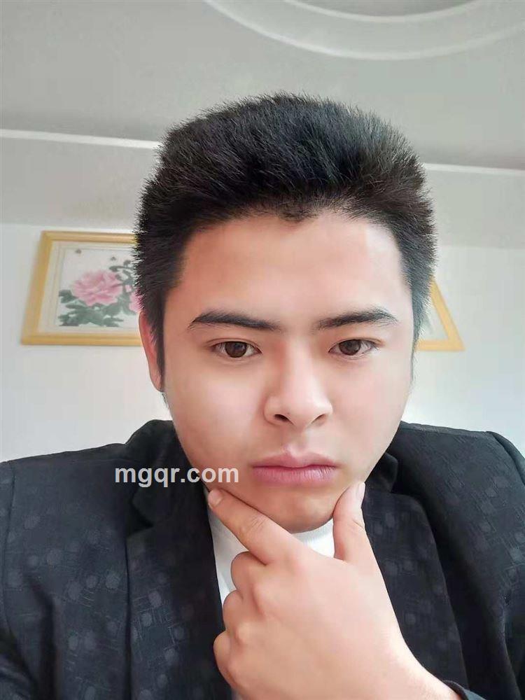 木马木马的头像