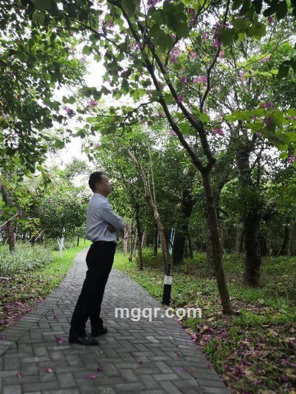 大众情人的头像