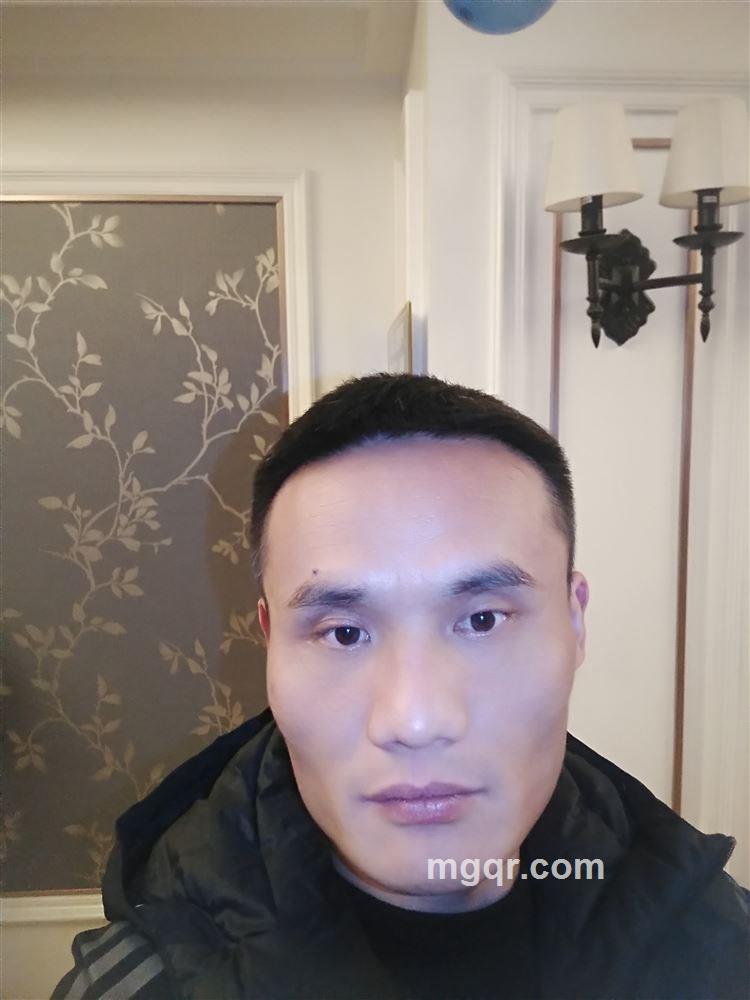 狼之友的头像