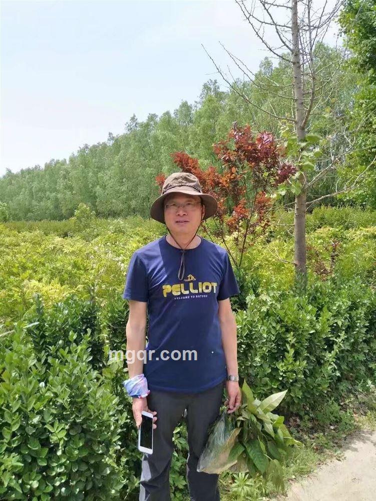 会员4669761的头像