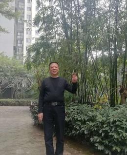 一路红3288的头像