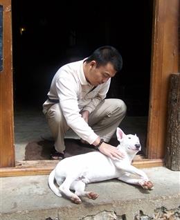 芯光灿烂的头像