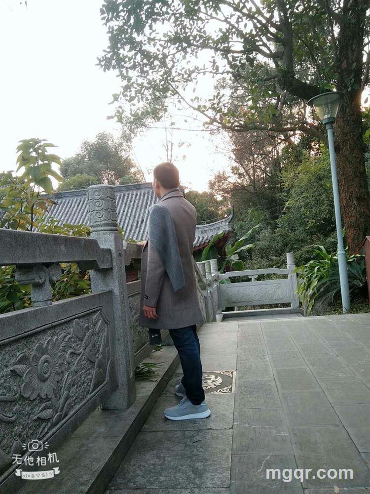 梦境wei的头像