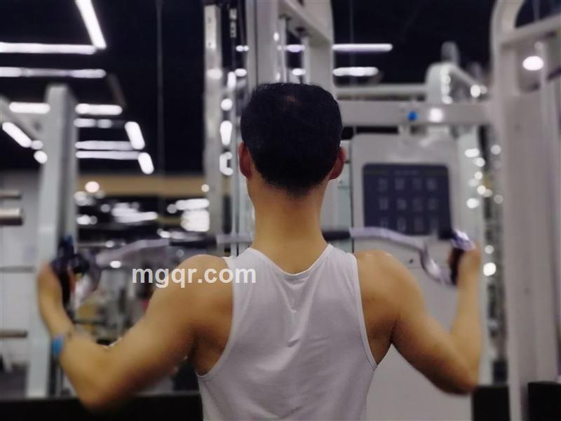 海洋之星的头像