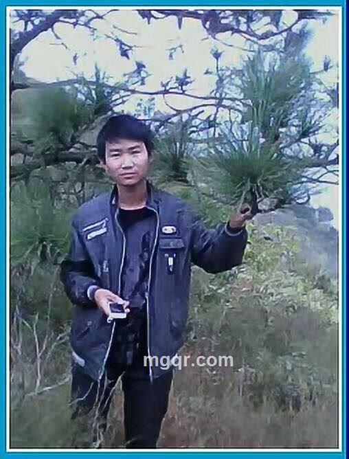 无言的结局的头像