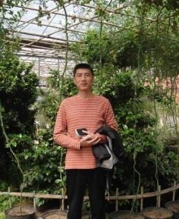 妖灵酒吧期期舞妖三妖的头像