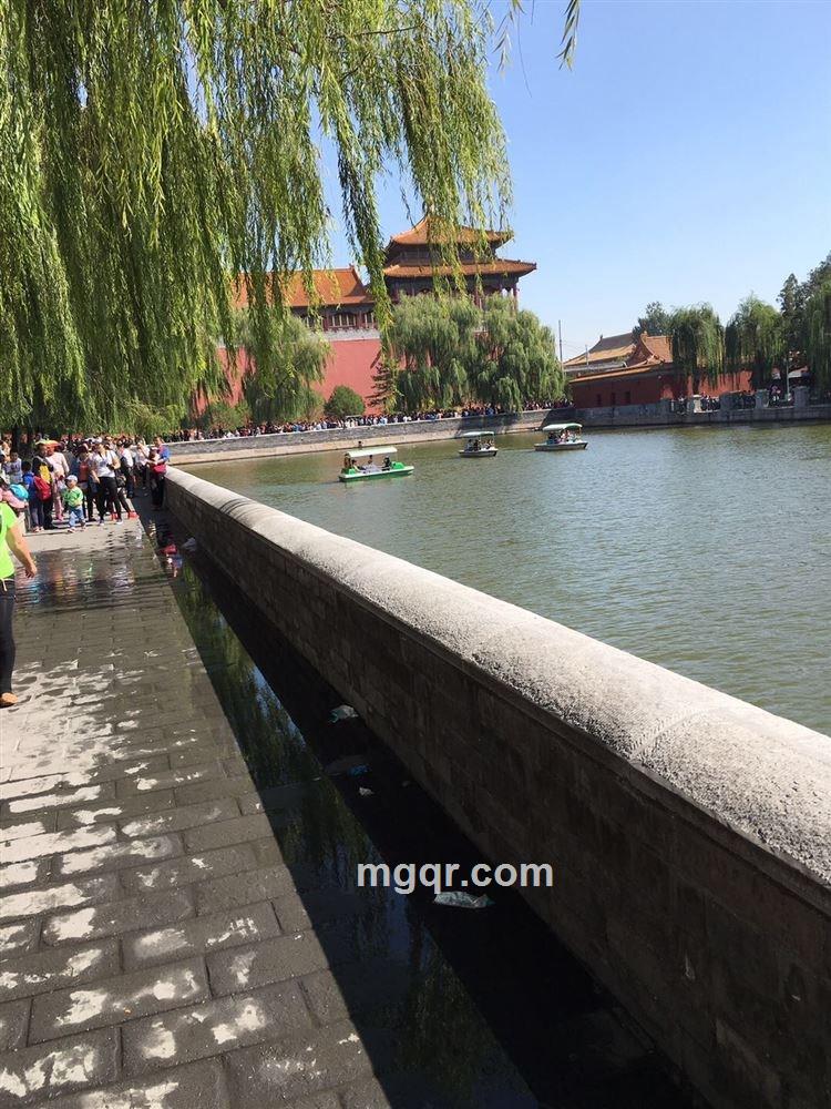 胸口碎石的头像