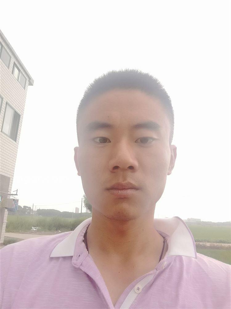 中世纪骑士的头像