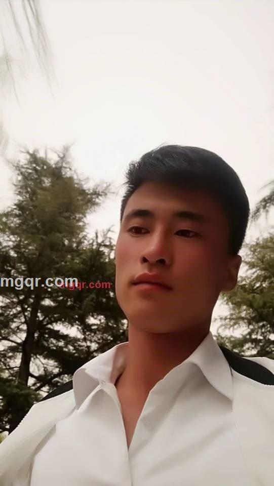 1637207536qq 的头像