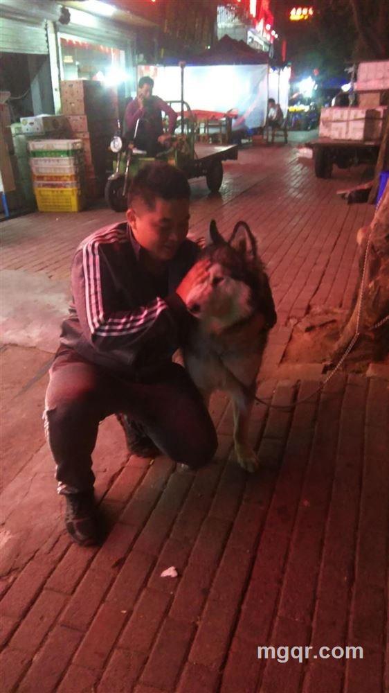 ????????????的头像