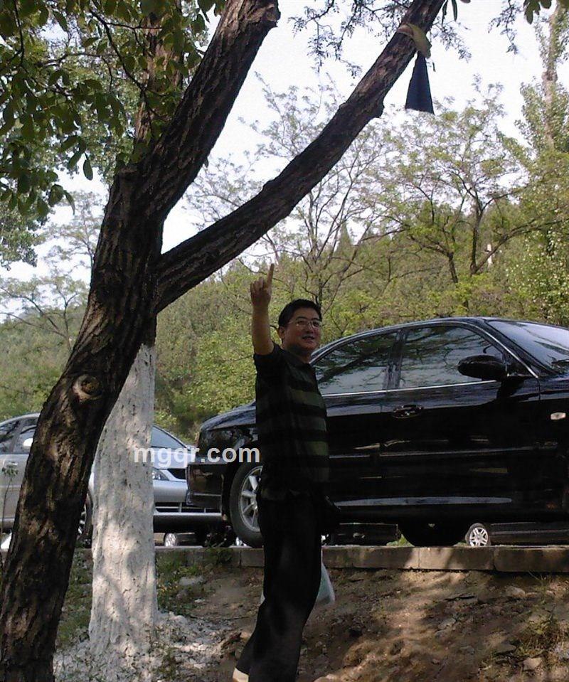 做我的情侣的头像