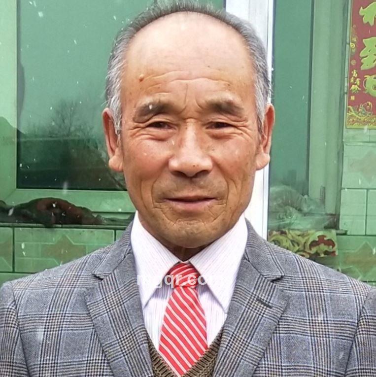 金貓的头像