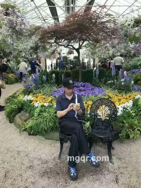 美丽的石头的头像