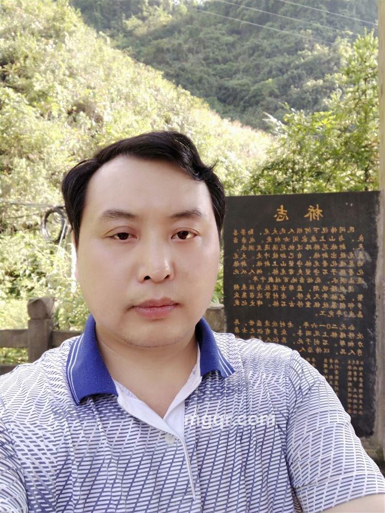 流血不流泪的头像