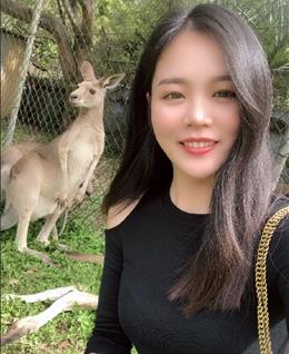 盛夏的叶的头像