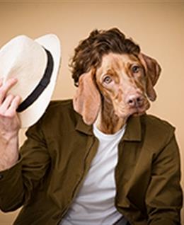 爱国不后悔的头像