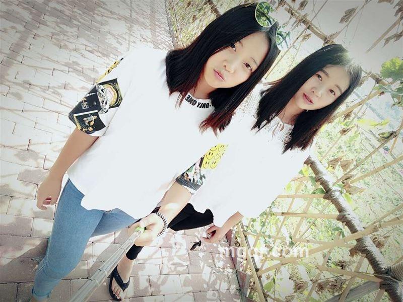 落叶的梧桐的头像