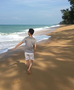 十八楼的春天的头像